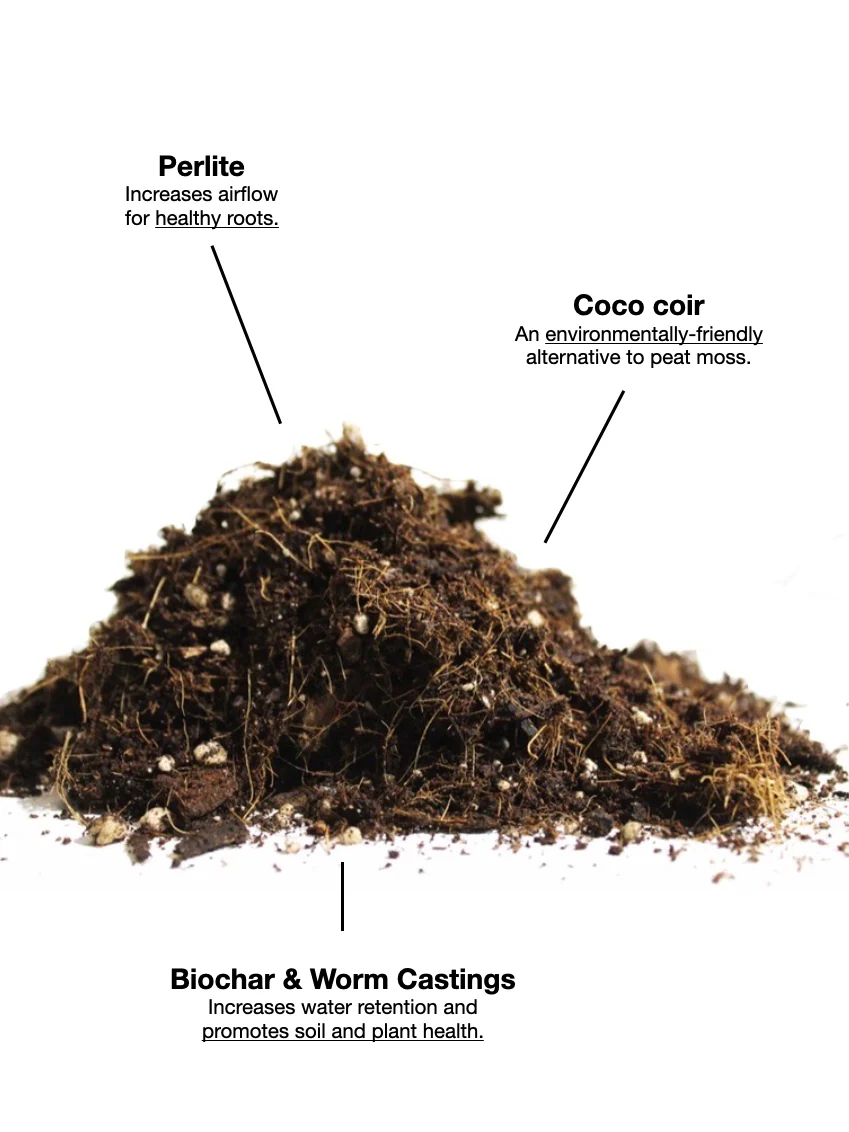 Aroid Soil Mix - Image 3